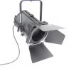 Selecon Rama 1200w Fresnel